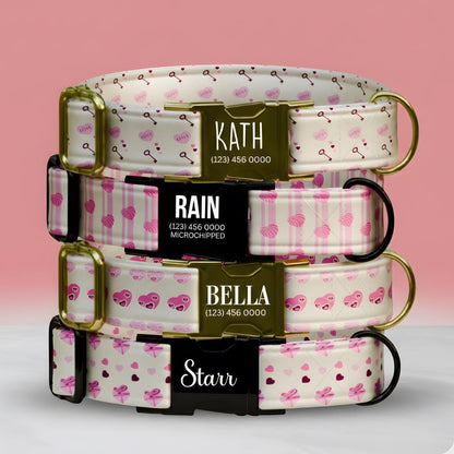 Personalized Valentine Dog Collar, Pink Hearts, Love Keys, Custom Pet Name (OG-393)