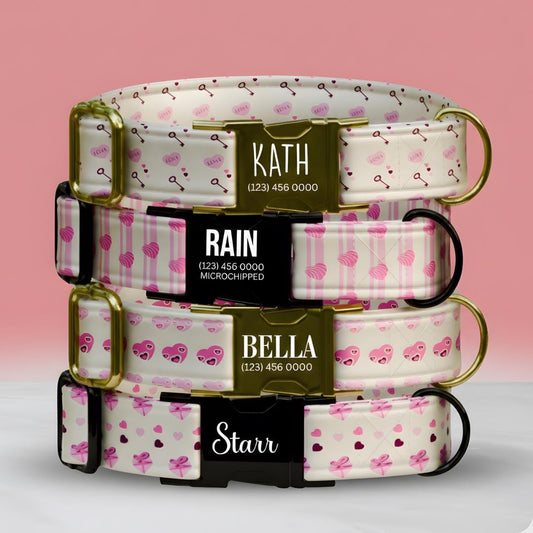 Personalized Valentine Dog Collar, Pink Hearts, Love Keys, Custom Pet Name (OG-393)