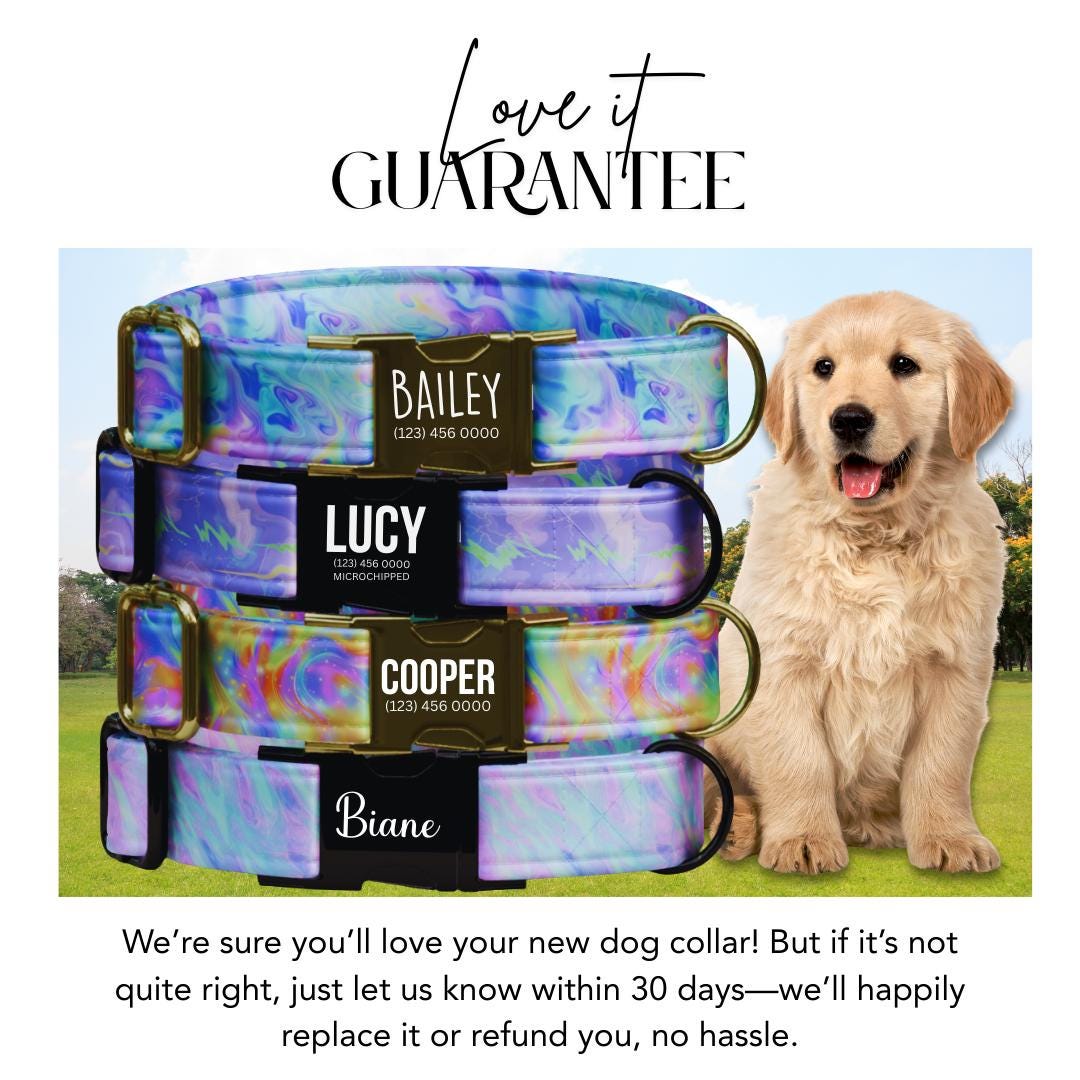 Personalized Iridescent Galaxy Dog Collar  Pastel Marble Swirl Custom Name Stylish Metal Buckle (OG-371)