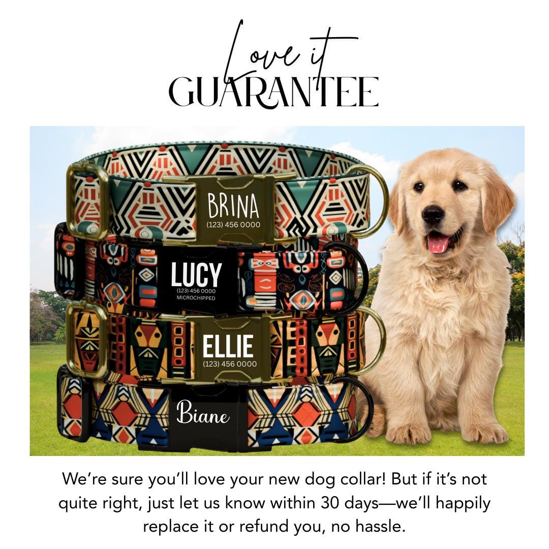 Tribal Boho Personalized Dog Collar  Bold Geometric Print Custom Name Metal Buckle (OG-375)
