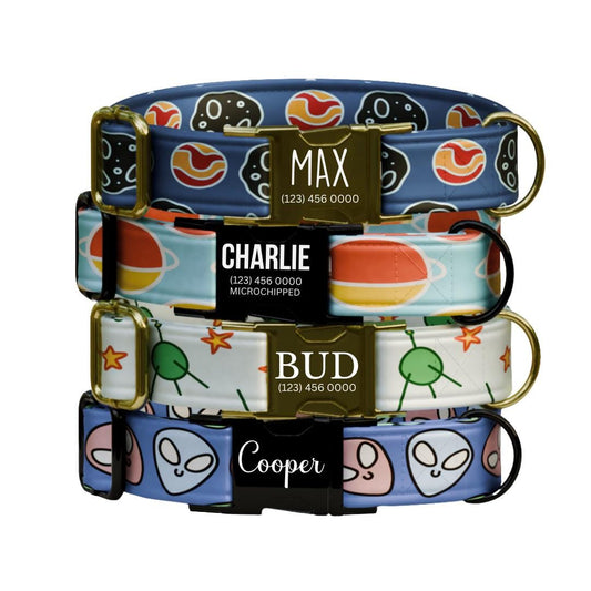 Personalized Space Pup Dog Collar  Cosmic Cuties Edition Custom Metal Buckle (OG-384)