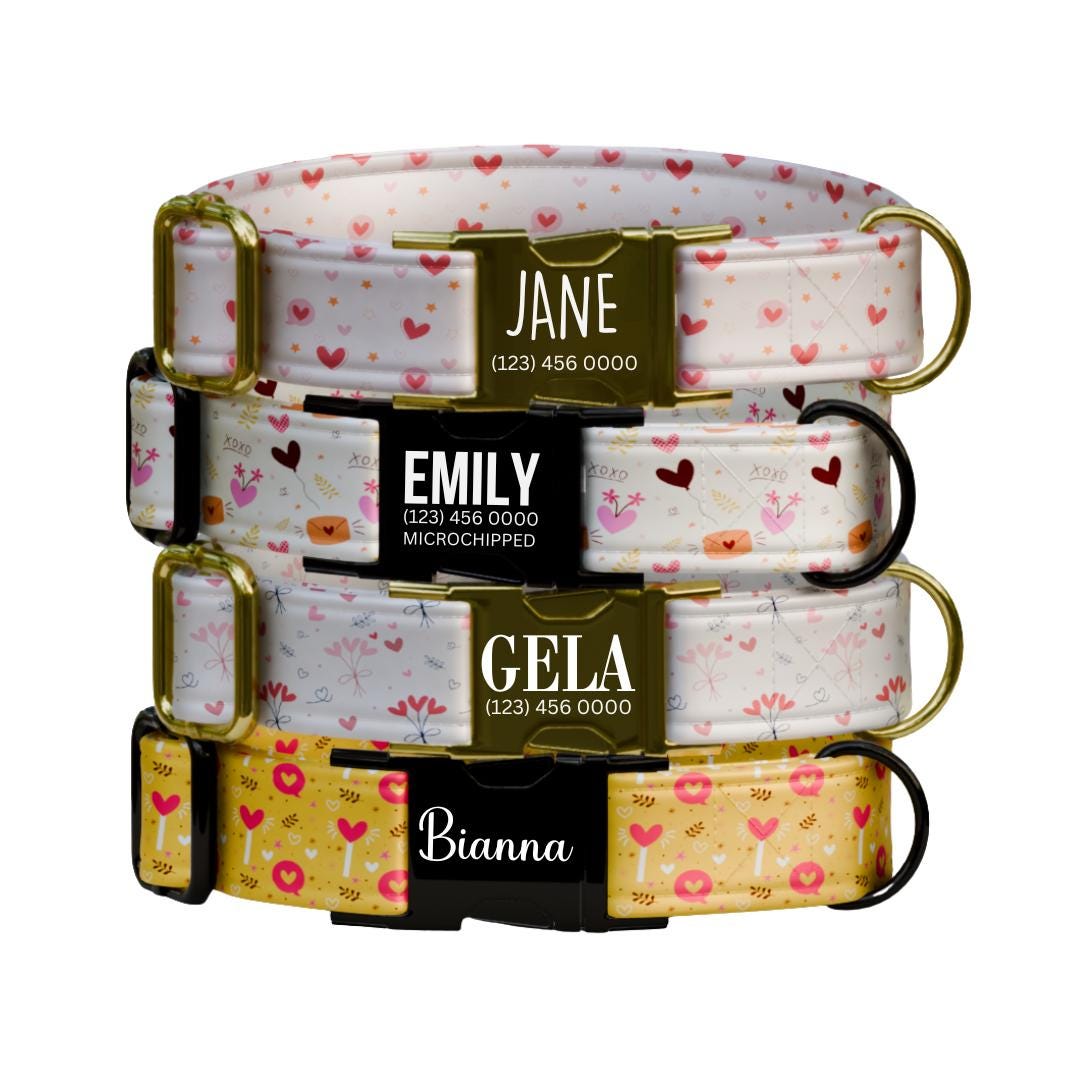 Valentines Day Dog Collar  Personalized Love-Themed Pup Collar Custom Metal Buckle (OG-386)