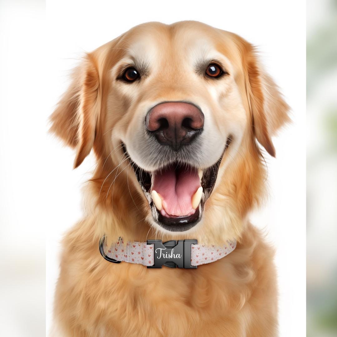 Valentines Day Dog Collar  Personalized Love-Themed Pup Collar Custom Metal Buckle (OG-386)