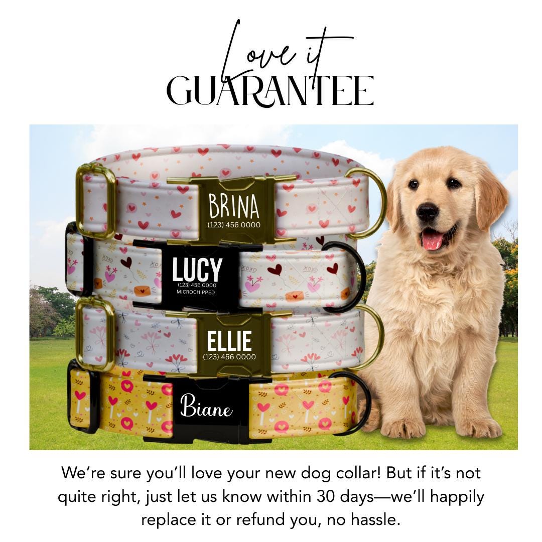 Valentines Day Dog Collar  Personalized Love-Themed Pup Collar Custom Metal Buckle (OG-386)