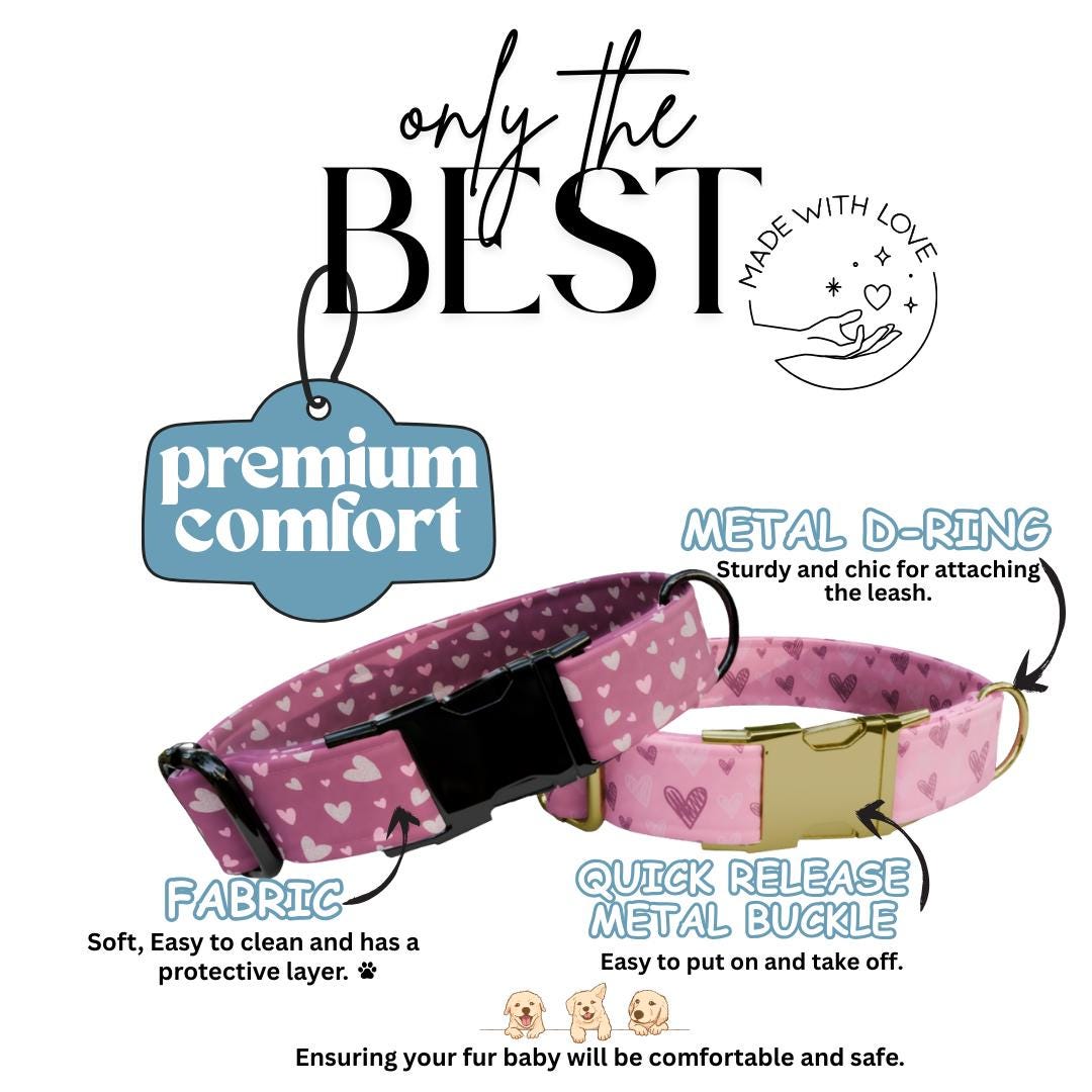 Personalized Valentine Dog Collar: Blush Hearts, Custom Metal Buckle (OG-391)