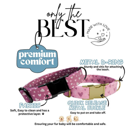 Personalized Valentine Dog Collar: Blush Hearts, Custom Metal Buckle (OG-391)