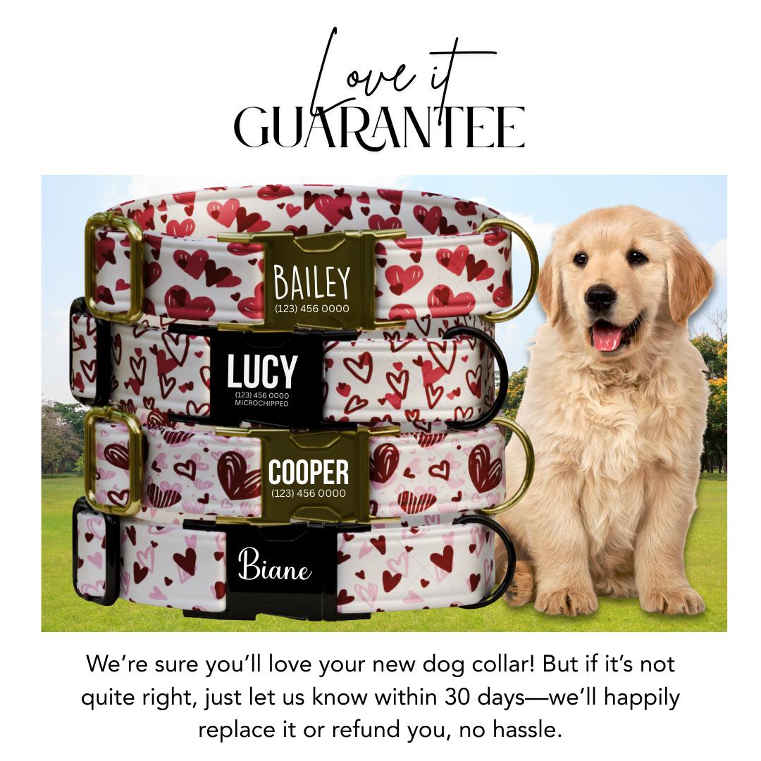 Sweethearts & Snuggles Personalized Dog Collar Valentines Day Heart Print Custom Metal Buckle (OG-392)