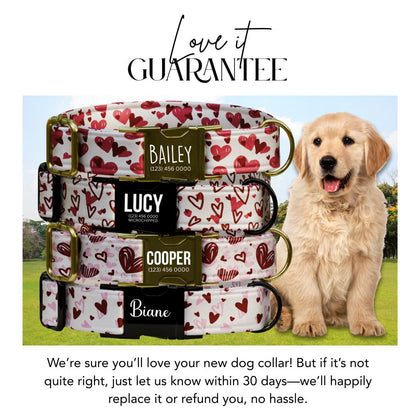 Sweethearts & Snuggles Personalized Dog Collar Valentines Day Heart Print Custom Metal Buckle (OG-392)