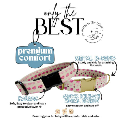 Personalized Valentine Dog Collar, Pink Hearts, Love Keys, Custom Pet Name (OG-393)