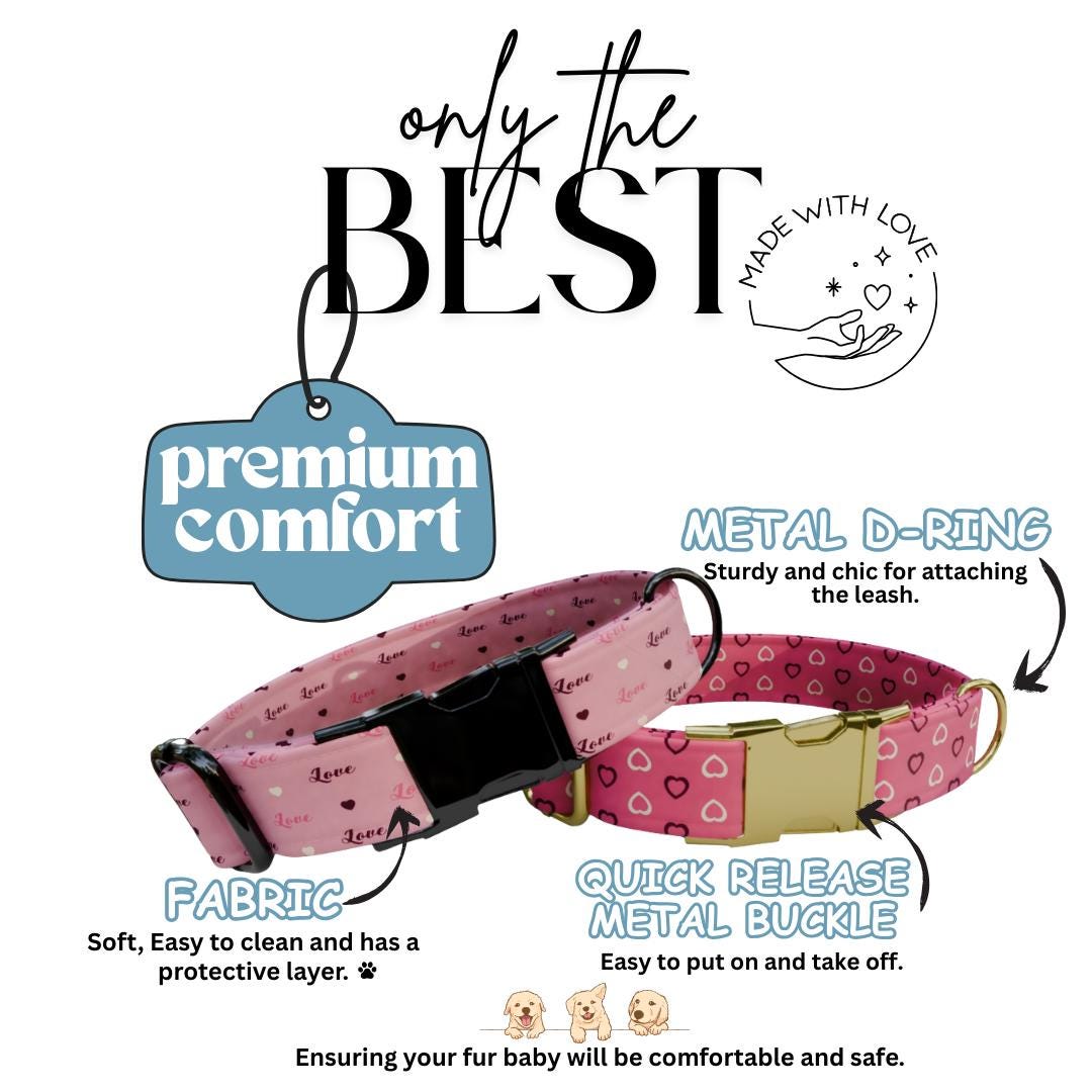 Valentine Hearts Dog Collar  Custom Love-Themed Puppy Collar with Name & Phone Number (OG-394)