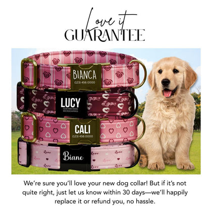 Valentine Hearts Dog Collar  Custom Love-Themed Puppy Collar with Name & Phone Number (OG-394)