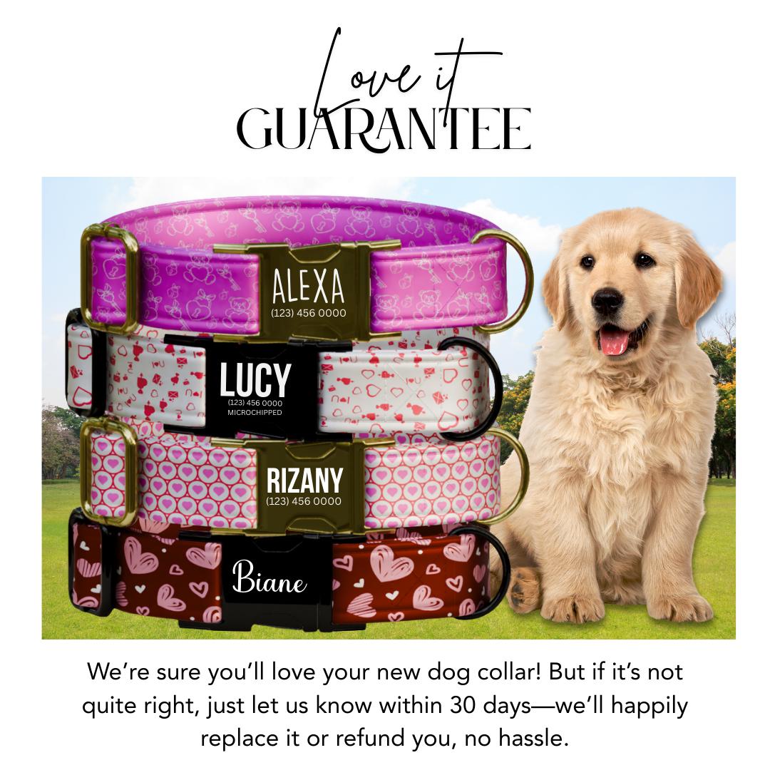 Valentine Dog Collar with Heart and Teddy Bear Designs, Custom Name & Phone Number (OG-395)