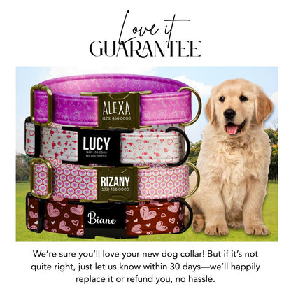Valentine Dog Collar with Heart and Teddy Bear Designs, Custom Name & Phone Number (OG-395)