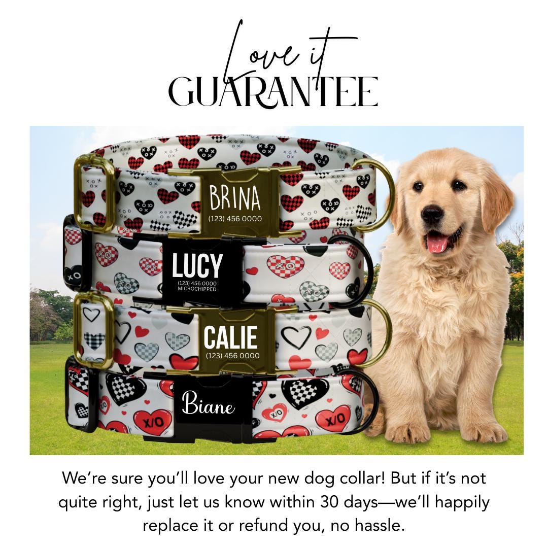 Checker Hearts and XO Personalized Dog Collar Valentine Love Print | Custom Name & Number (OG-400)