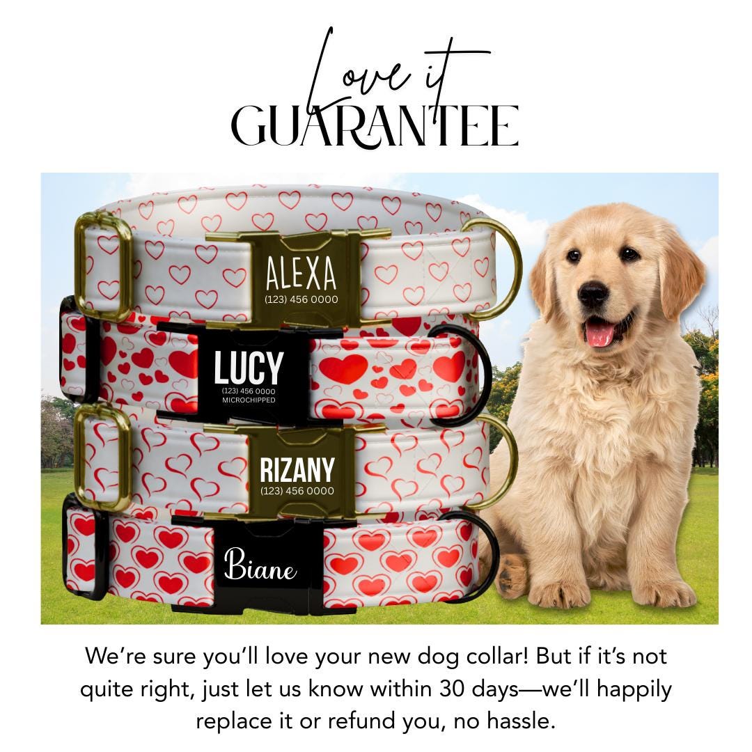 Valentine Hearts Personalized Dog Collar  Red Heart Design with Custom Name & Metal Buckle (OG-402)