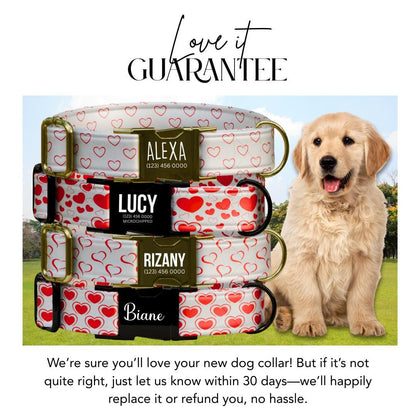 Valentine Hearts Personalized Dog Collar  Red Heart Design with Custom Name & Metal Buckle (OG-402)