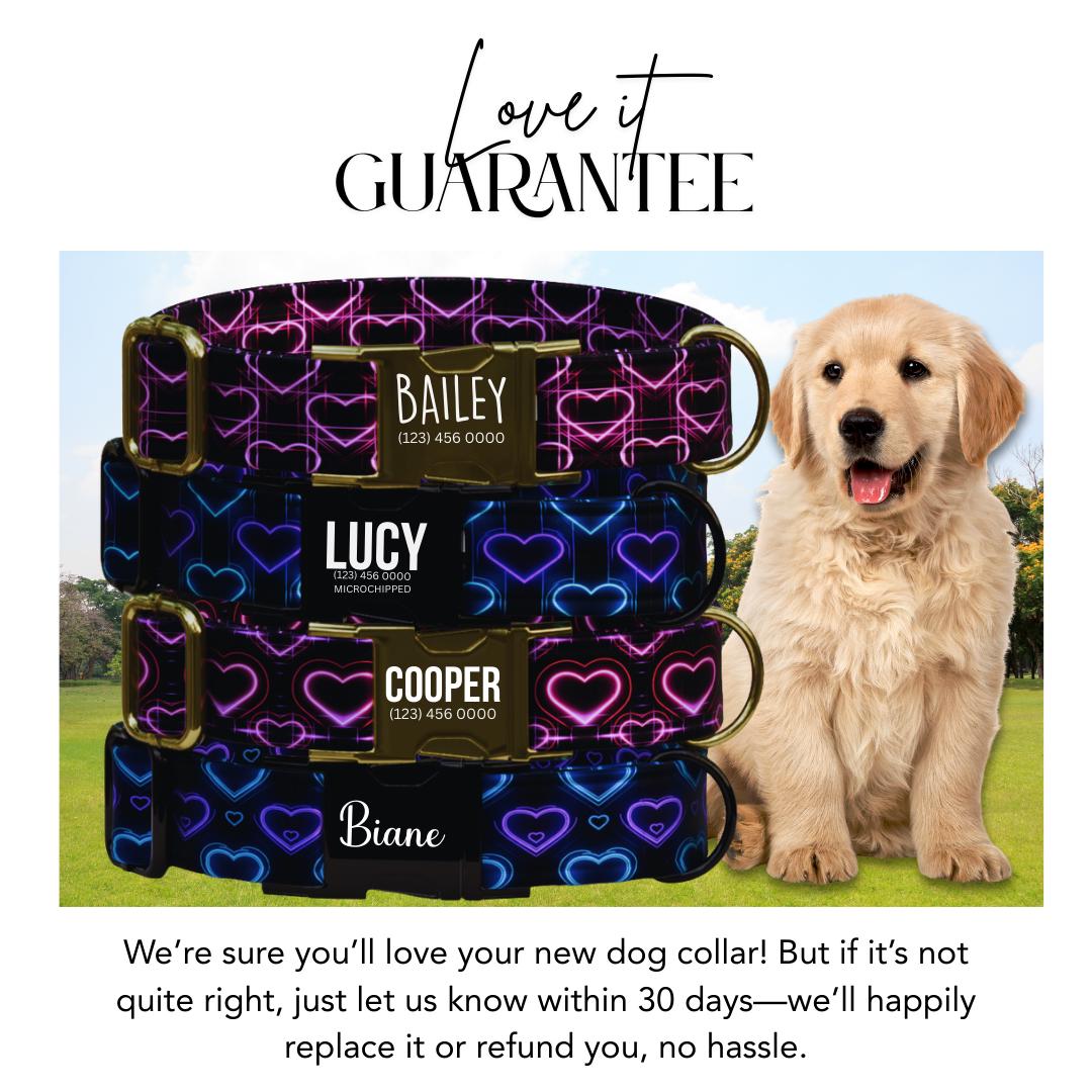 Neon Love Heart Dog Collar, Valentine's Day Personalized Pup Collar (OG-405)