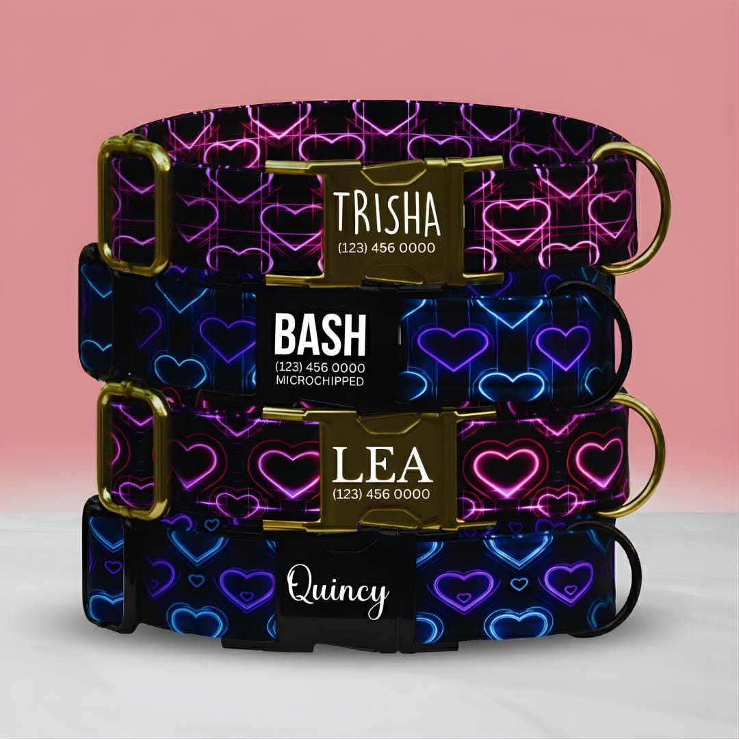 Neon Love Heart Dog Collar, Valentine's Day Personalized Pup Collar (OG-405)