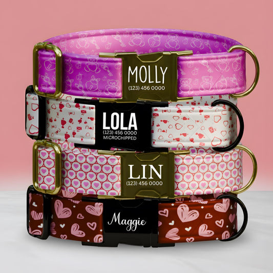Valentine Dog Collar with Heart and Teddy Bear Designs, Custom Name & Phone Number (OG-395)