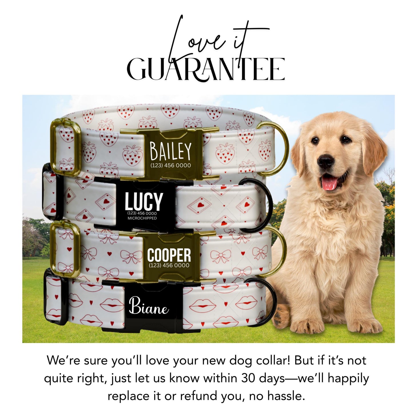 Valentines Day Personalized Dog Collar Strawberry, Hearts, Bows Kiss Prints Custom Name & Number! (OG-409)