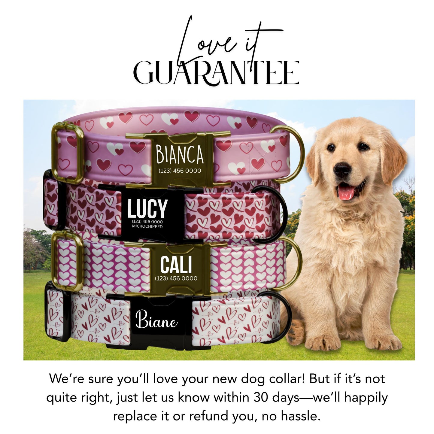 Valentine Hearts Personalized Dog Collar  Unqiue, Stylish & Made with Love (OG-407)