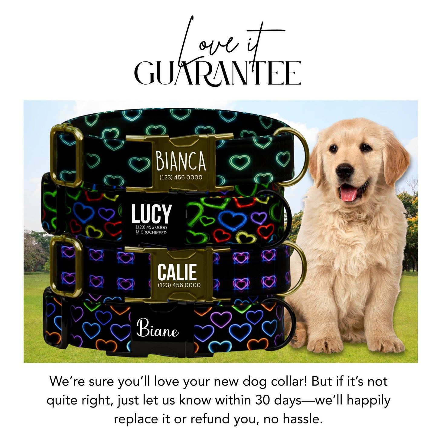 Valentine Dog Collar: Neon Heart Glow, Custom Name, Metal Buckle (OG-406)