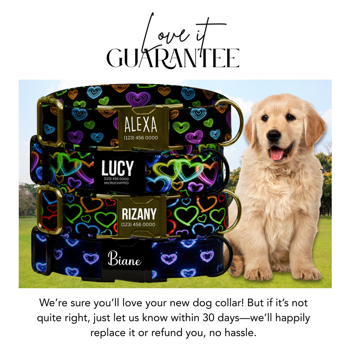 Neon Rainbow Hearts Personalized Dog Collar  Metal Buckle, Valentine's Day ((OG-404)