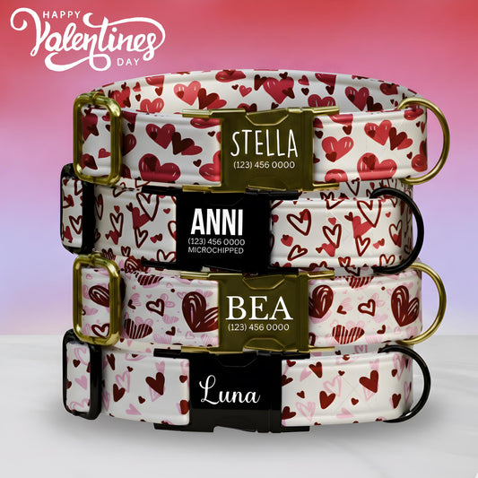 Sweethearts & Snuggles Personalized Dog Collar Valentines Day Heart Print Custom Metal Buckle (OG-392)