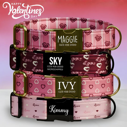 Valentine Hearts Dog Collar  Custom Love-Themed Puppy Collar with Name & Phone Number (OG-394)
