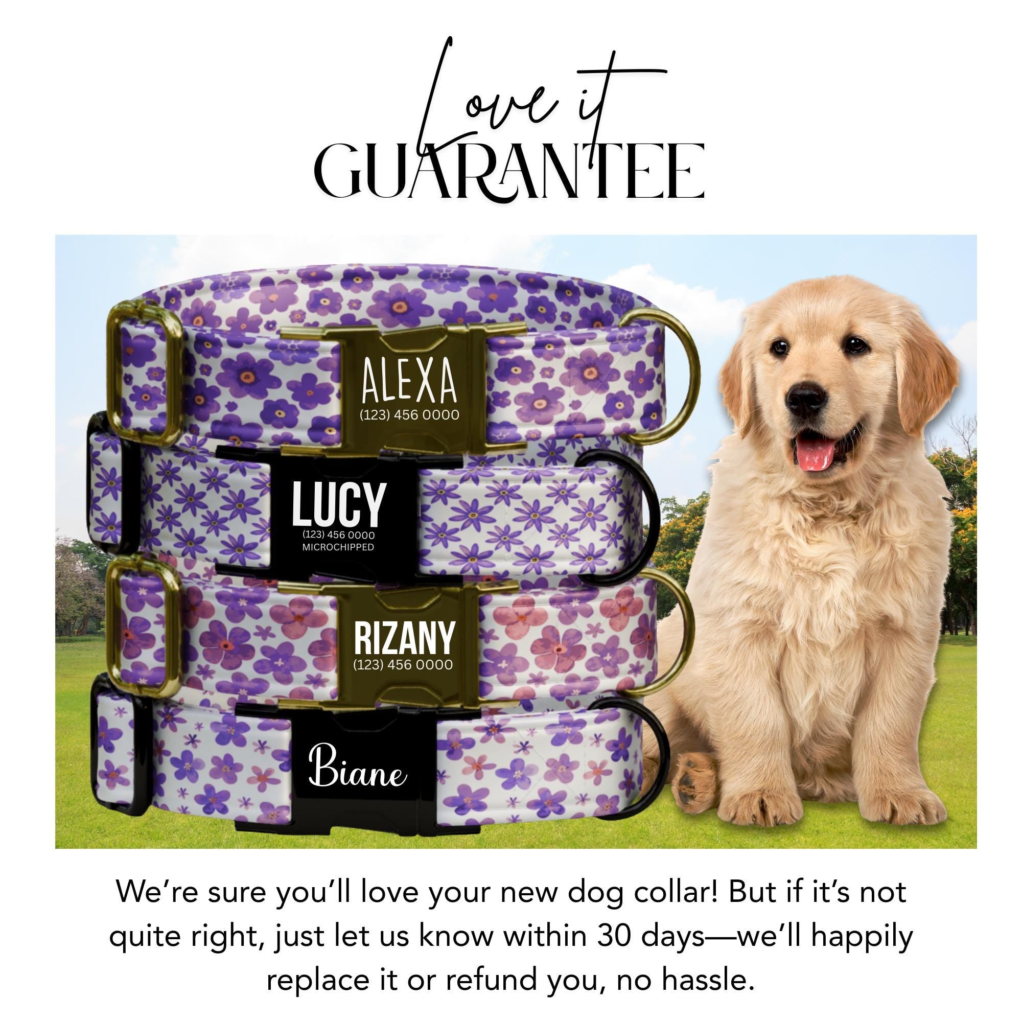 Purple Daisy Floral Dog Collar, Personalized Engraved Fabric, Flower Dog Gift (OG-417)