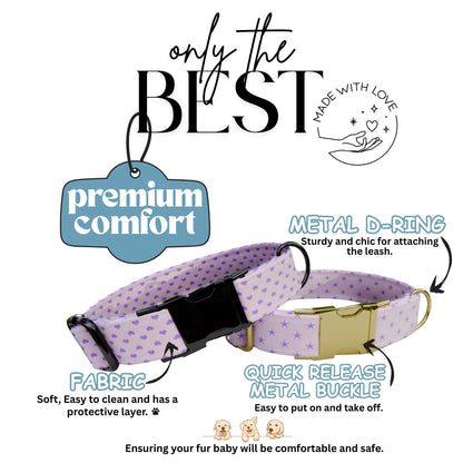 Lavender Dreams Personalized Dog Collar Custom Name Purple Paw, Gingham, Heart & Star Designs (OG-422)