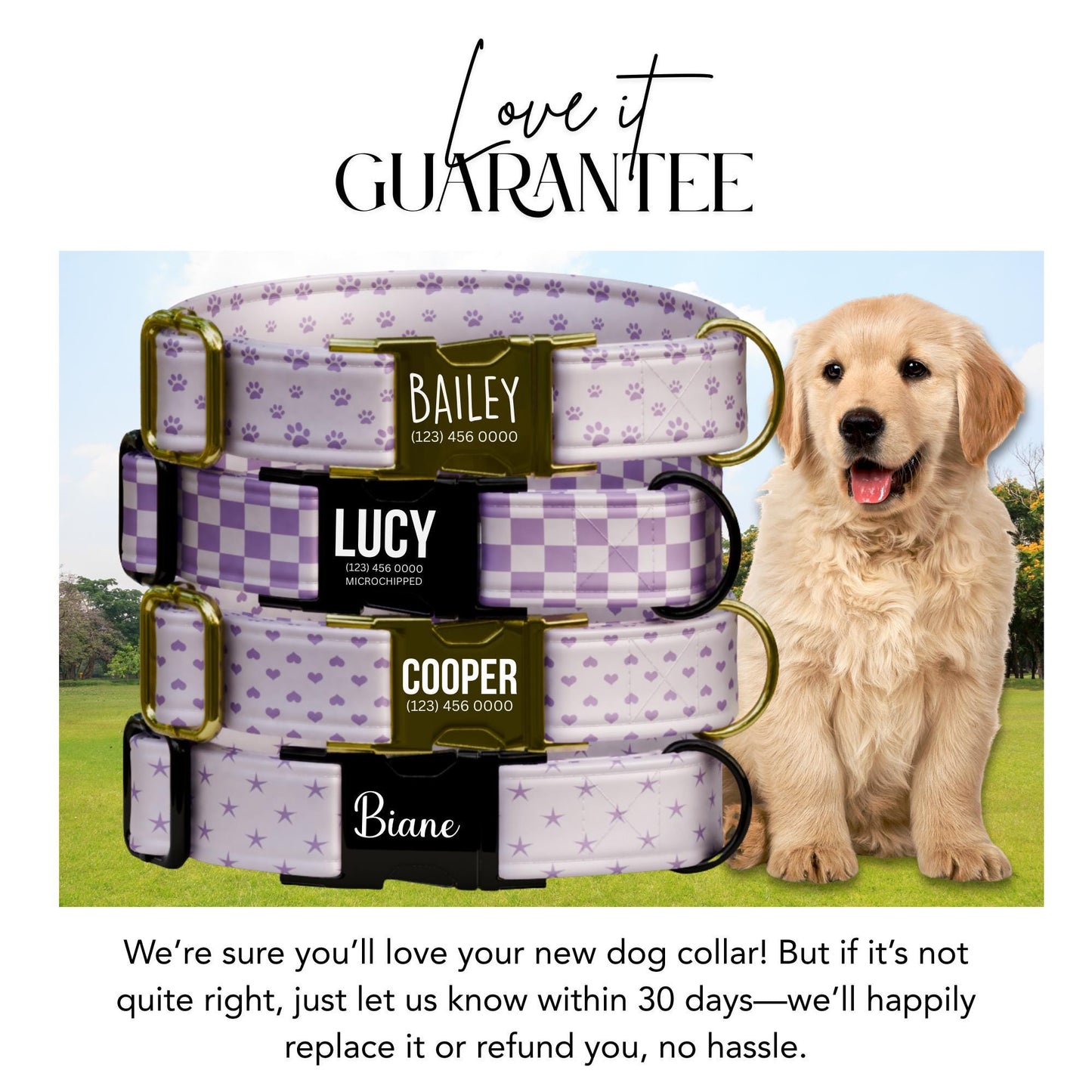 Lavender Dreams Personalized Dog Collar Custom Name Purple Paw, Gingham, Heart & Star Designs (OG-422)