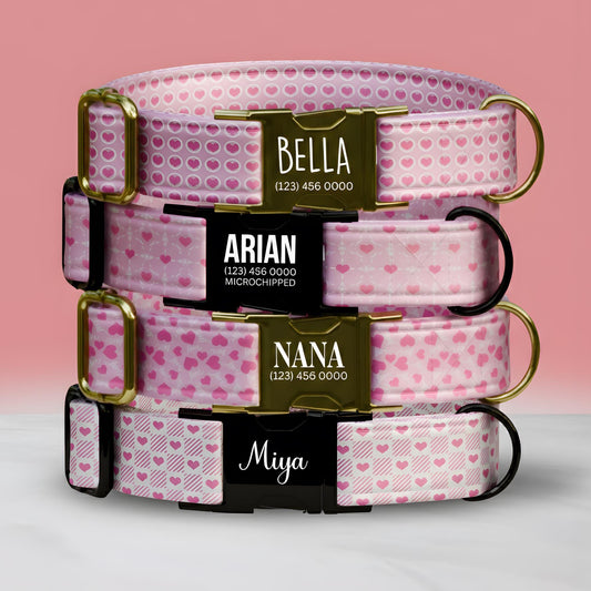 Personalized Valentine Dog Collar: Sweet Pink Hearts, Custom Name (OG-414)