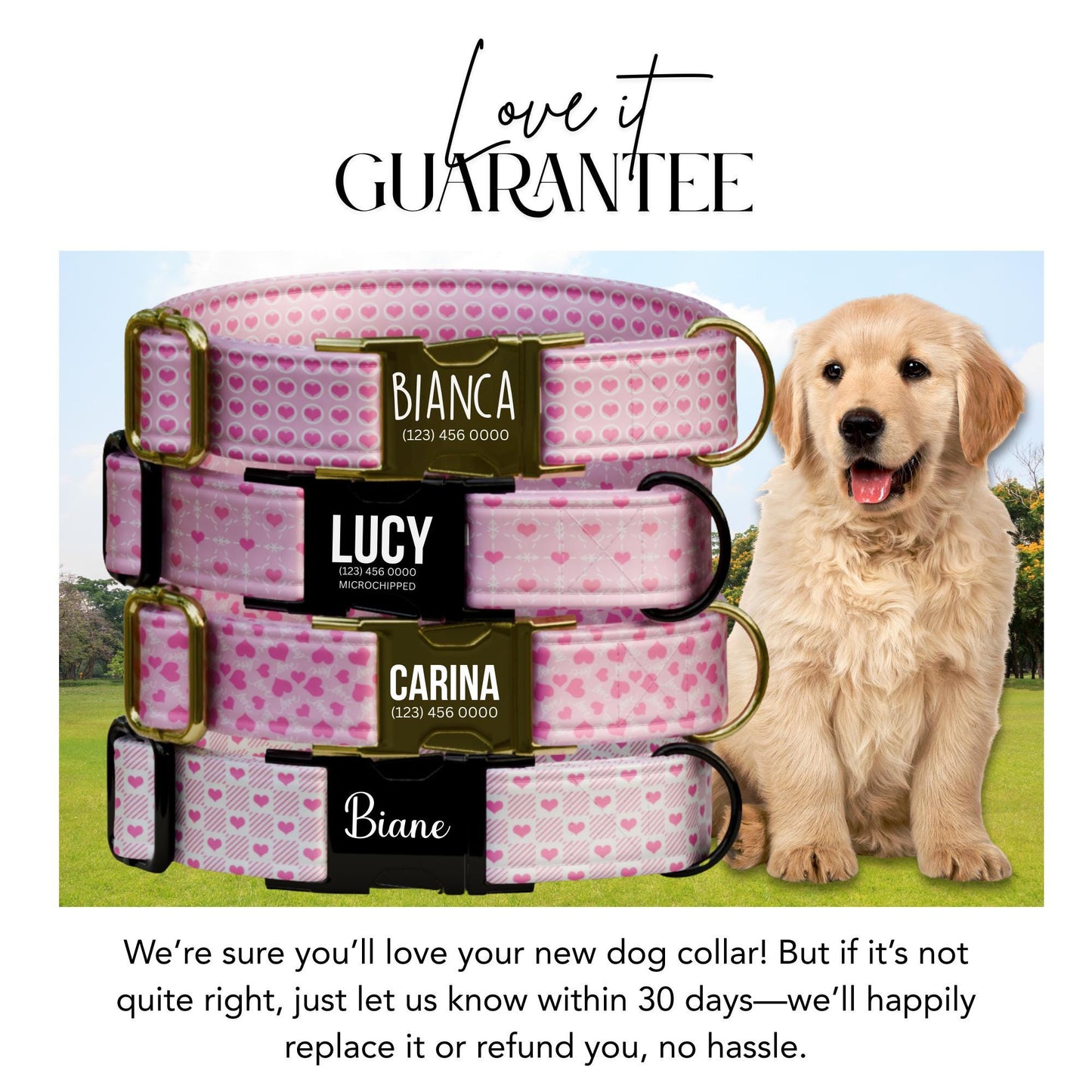Personalized Valentine Dog Collar: Sweet Pink Hearts, Custom Name (OG-414)