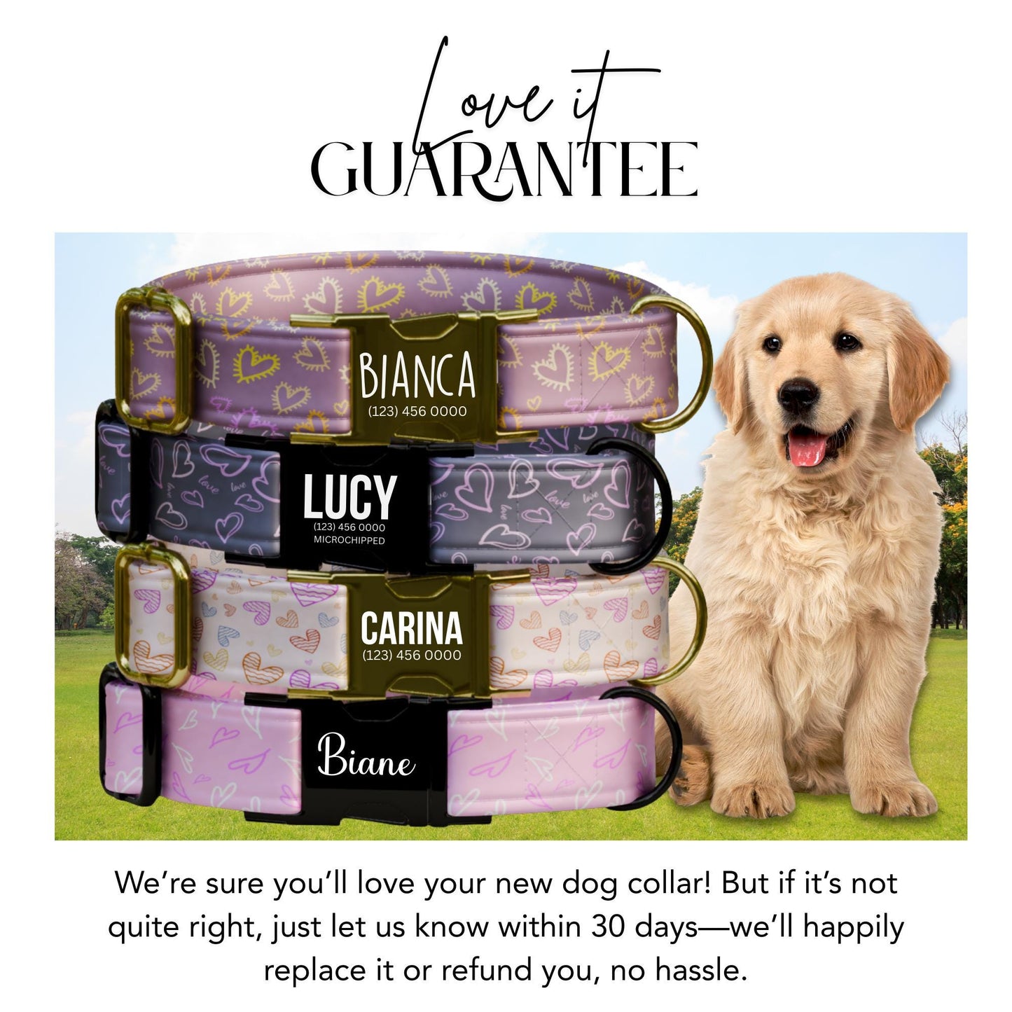 Valentine Hearts Personalized Dog Collar Stylish Pup Accessory Custom Name and Number! (OG-411)