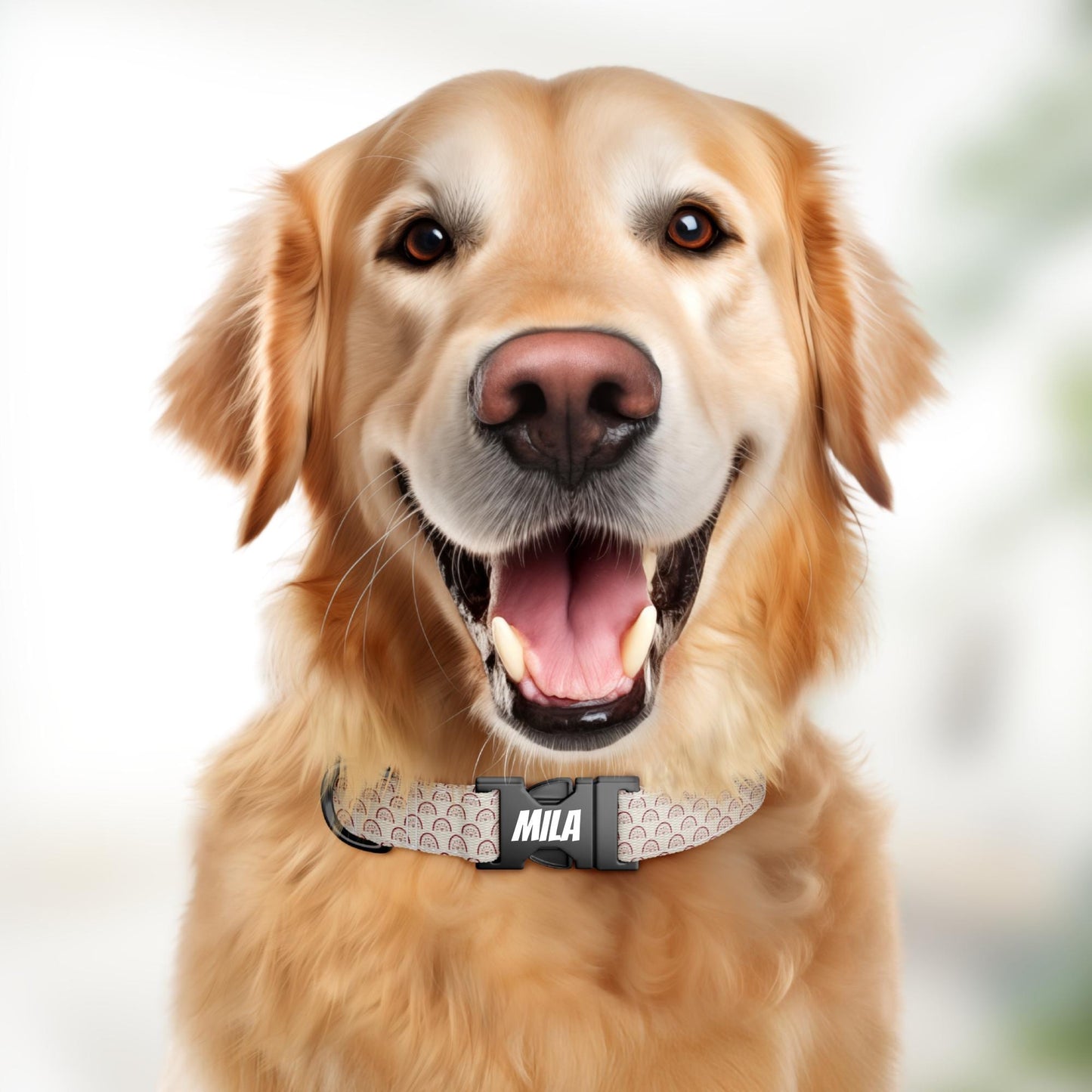 Personalized Valentine's Day Dog Collar: Hearts & Love Prints (OG-412)