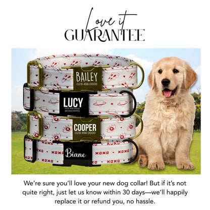 Love at First Woof Custom Valentines Dog Collar  Made with Love and Treats! (OG-408)