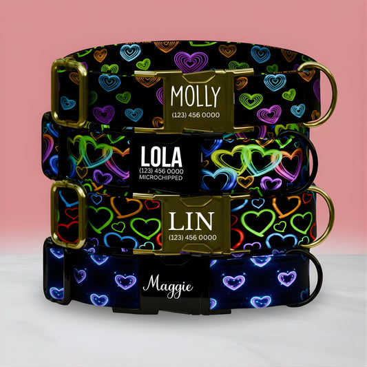 Neon Rainbow Hearts Personalized Dog Collar  Metal Buckle, Valentine's Day ((OG-404)