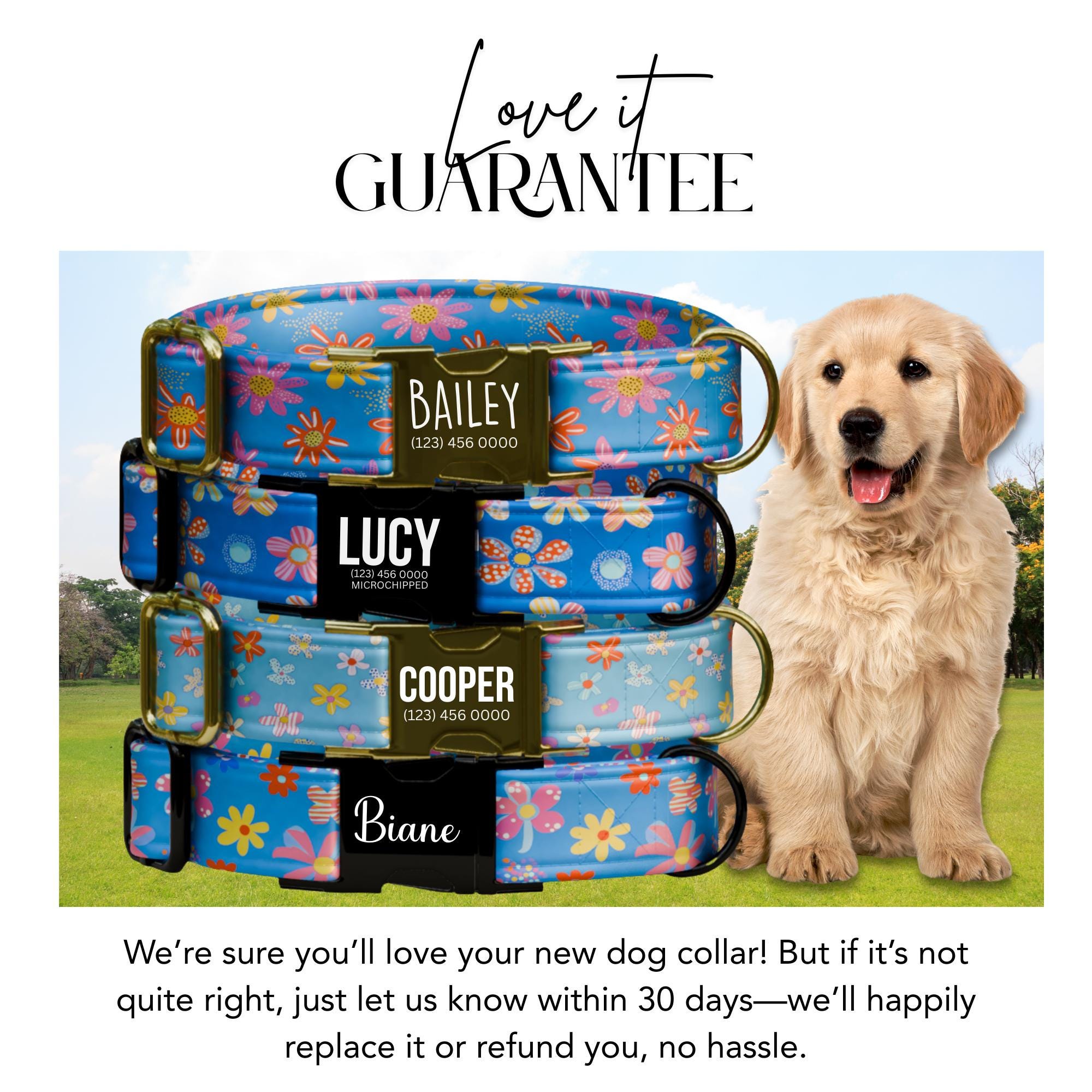 Blue Bloom Garden Dog Collar - Bright Floral Personalized Dog Tag with Metal Buckle Gift for Dogs (OG-428)