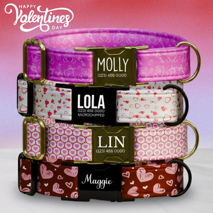 Valentine Dog Collar with Heart and Teddy Bear Designs, Custom Name & Phone Number (OG-395)