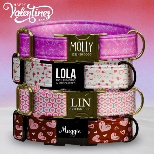 Valentine Dog Collar with Heart and Teddy Bear Designs, Custom Name & Phone Number (OG-395)