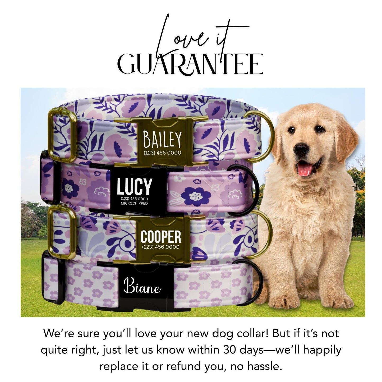 Purple Bloom Parade Personalized Dog Floral Adjustable Collar & Leash Set Stylish Custom Flower Pet Gift (OG-423)