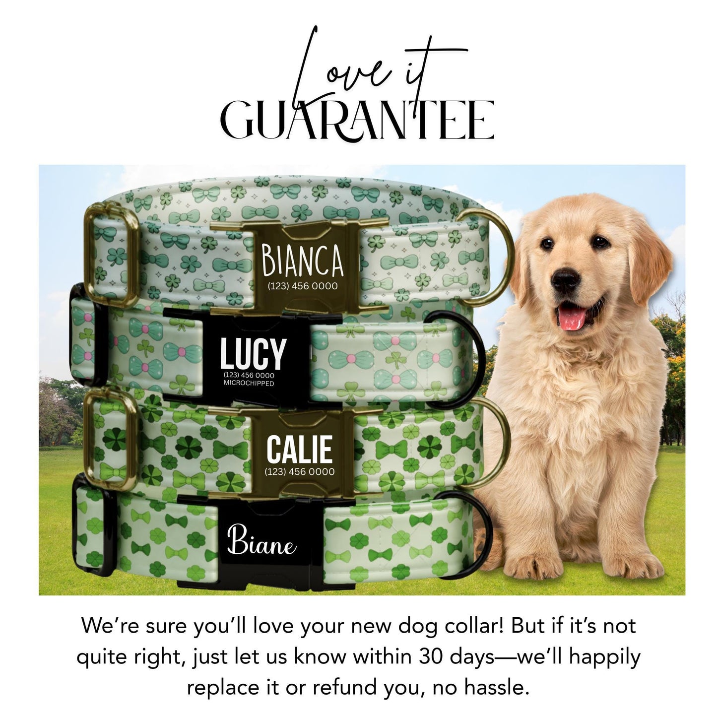 Lucky Charm Bow & Clover Personalized Dog Collar  St. Pawtricks Day Pet ID (OG-431)