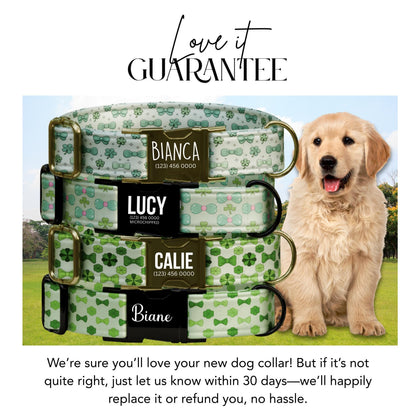 Lucky Charm Bow & Clover Personalized Dog Collar  St. Pawtricks Day Pet ID (OG-431)