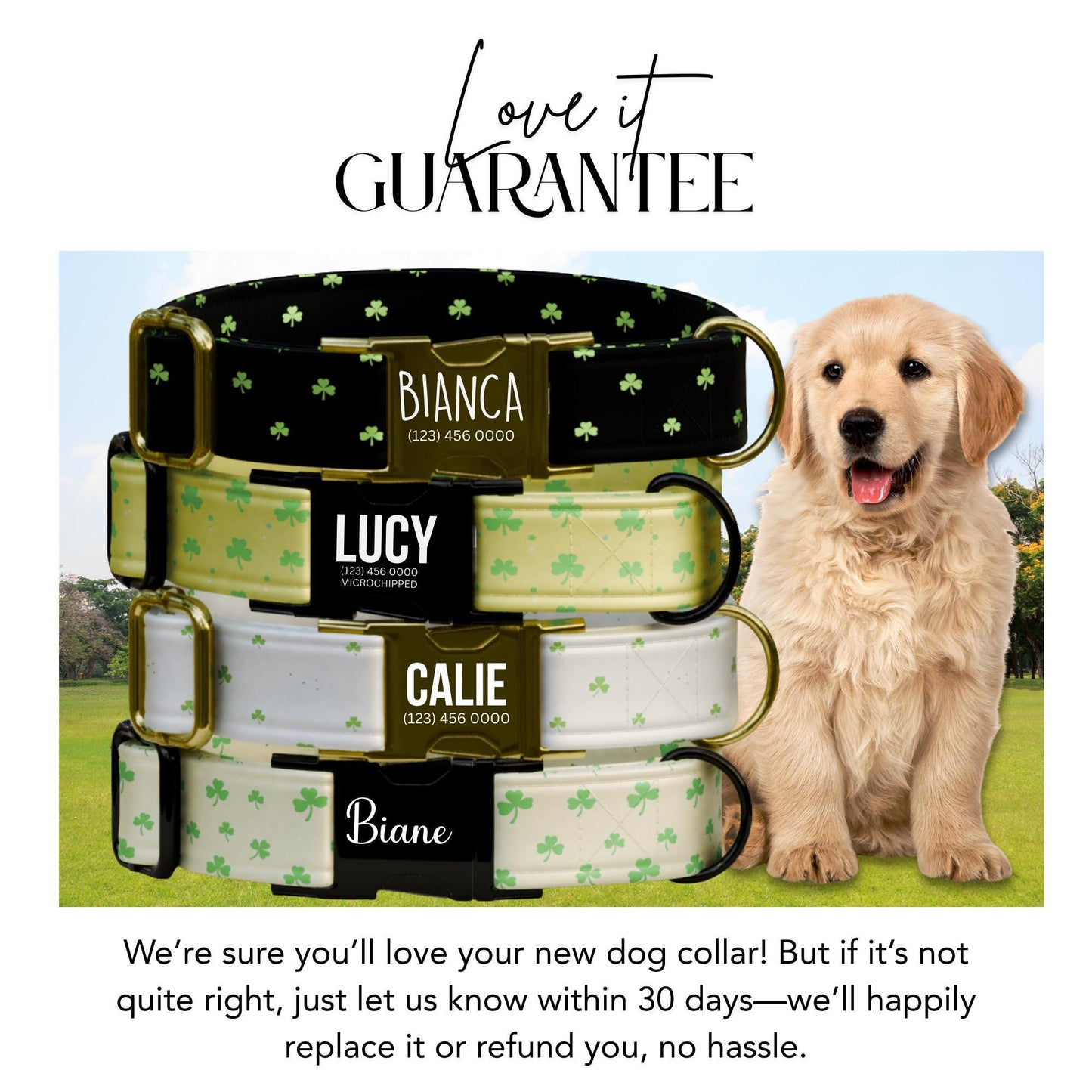 Lucky Clover Personalized Dog Collar  St. Patricks Day Shamrock Design Pet Gift (OG-432)