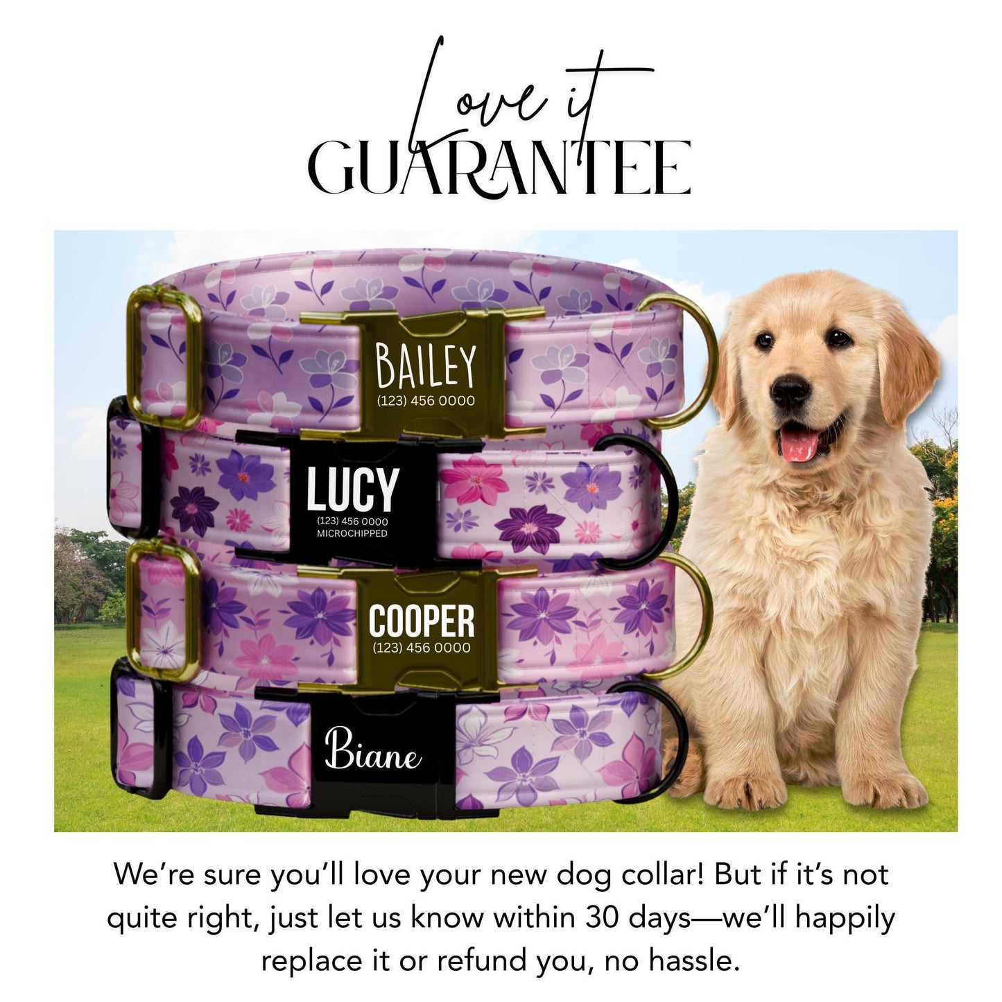 Purple Blossom Dreams Personalized Dog Collar and Leash Set Floral Lavender & Pink Design with Custom Name Gift (OG-424)
