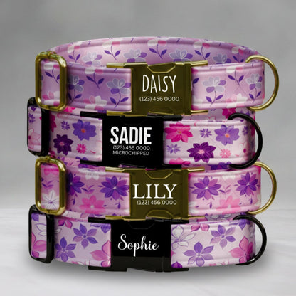 Purple Blossom Dreams Personalized Dog Collar and Leash Set Floral Lavender & Pink Design with Custom Name Gift (OG-424)