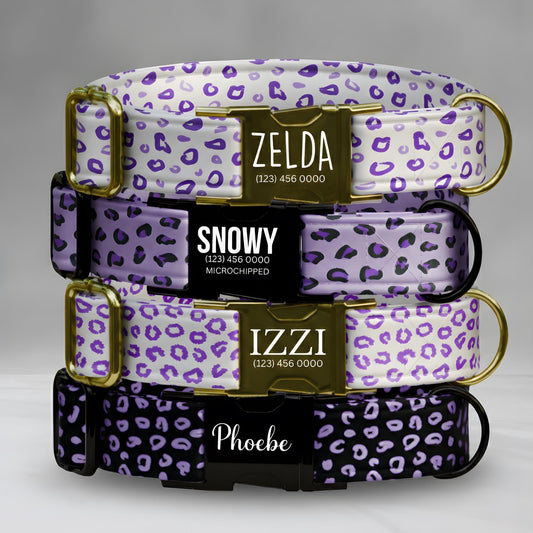 Purple Leopard Luxe Personalized Dog Collar Custom Engraved Buckle leopard Print (OG-426)