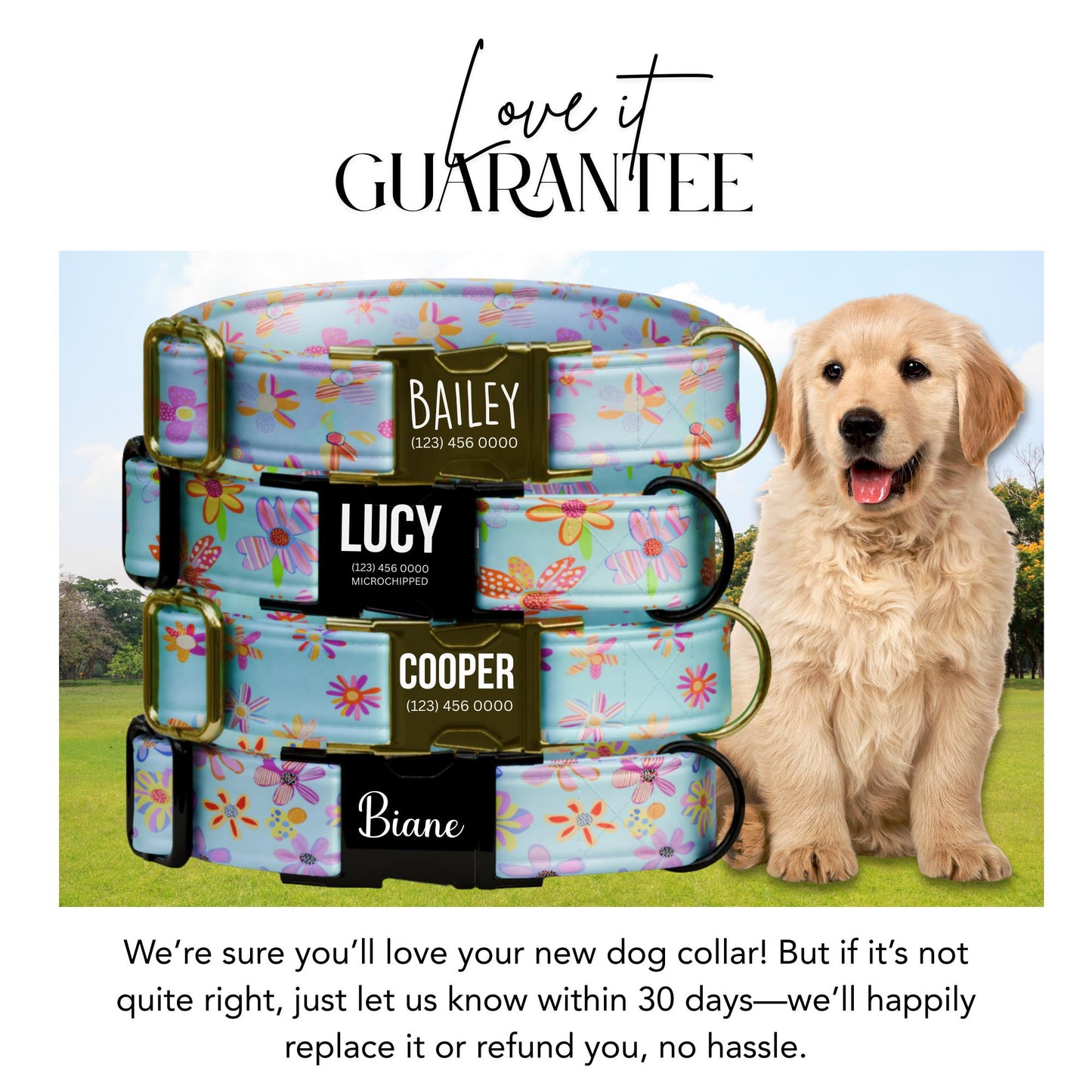 Pastel Bloom Garden Dog Collar  Floral Blue Personalized Collar with Metal Buckle (OG-427)