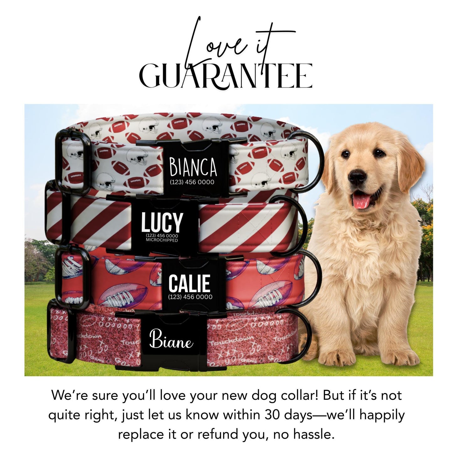 Game Day Ready Dog Collar Personalized Football-Inspired Collar Custom Name Dog Collar Sports Fan Pup Accessory (OG-440)